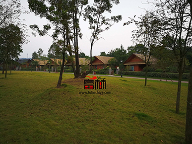 Panorama of Wooden House